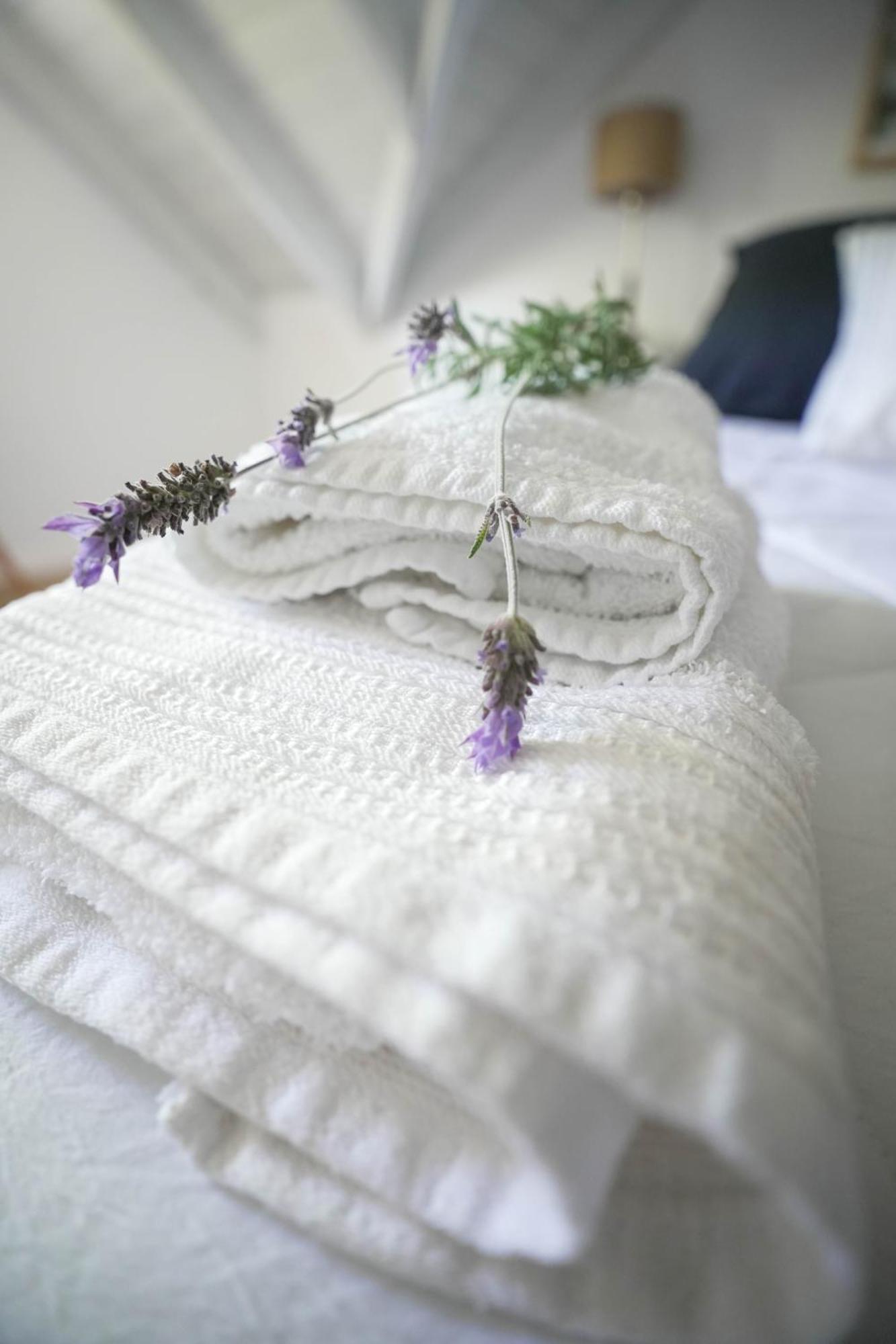 Apartamento Loft De Playa (adults Only) Mar del Plata